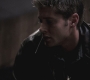Filename=SPN_0713.jpg
Filesize=191KiB
Dimensions=1920x1080
Date added=Aug 25, 2010 SPN_0713.jpg