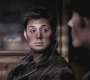 Filename=SPN_0725.jpg
Filesize=290KiB
Dimensions=1920x1080
Date added=Aug 25, 2010 SPN_0725.jpg