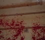 Filename=SPN_0052.jpg
Filesize=136KiB
Dimensions=1280x720
Date added=Mar 17, 2012 SPN_0052.jpg
