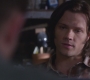 Filename=SPN_0262.jpg
Filesize=56KiB
Dimensions=1280x720
Date added=May 12, 2012 SPN_0262.jpg