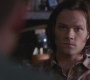 Filename=SPN_0279.jpg
Filesize=55KiB
Dimensions=1280x720
Date added=May 12, 2012 SPN_0279.jpg
