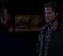 Filename=SPN_1254.jpg
Filesize=37KiB
Dimensions=1280x720
Date added=Nov 08, 2012 SPN_1254.jpg