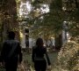 Filename=310VampireDiaries0850.jpg
Filesize=171KiB
Dimensions=1280x720
Date added=Jan 07, 2012 310VampireDiaries0850.jpg