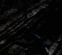 Filename=413VampireDiaries1217.jpg
Filesize=93KiB
Dimensions=1280x720
Date added=Apr 03, 2013 413VampireDiaries1217.jpg