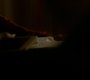 Filename=TVD_0493.jpg
Filesize=36KiB
Dimensions=1280x718
Date added=Mar 04, 2017 TVD_0493.jpg