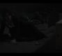 Filename=0996.jpg
Filesize=86KiB
Dimensions=1920x1080
Date added=Sep 19, 2022 0996.jpg