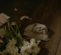 Filename=0170.jpg
Filesize=161KiB
Dimensions=1916x1076
Date added=Dec 19, 2016 0170.jpg