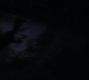 Filename=0227.jpg
Filesize=59KiB
Dimensions=1916x1076
Date added=Dec 19, 2016 0227.jpg
