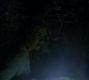 Filename=0238.jpg
Filesize=92KiB
Dimensions=1916x1076
Date added=Dec 19, 2016 0238.jpg