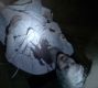 Filename=0683.jpg
Filesize=140KiB
Dimensions=1916x1076
Date added=Dec 19, 2016 0683.jpg