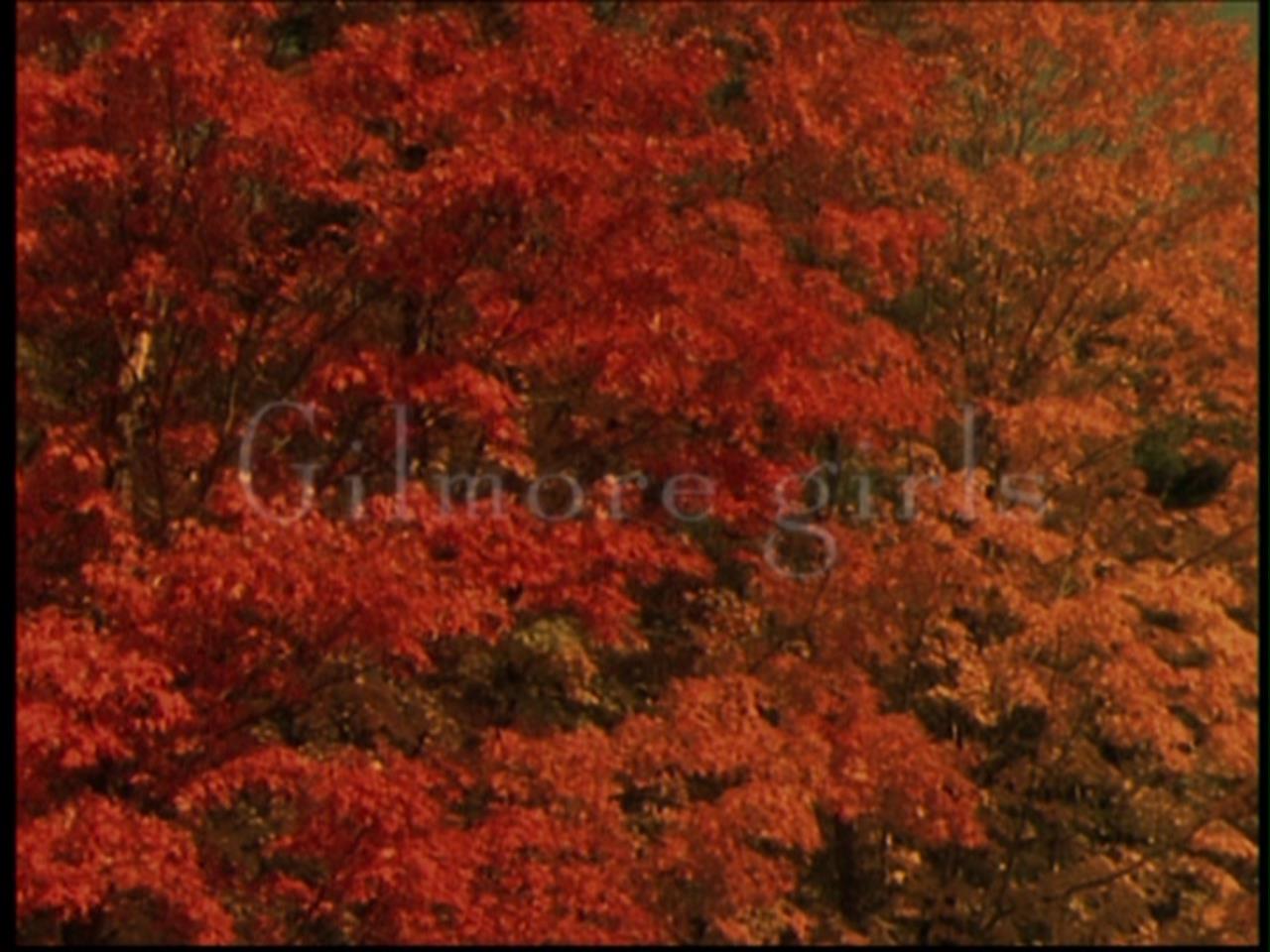 GG104-00039.jpg