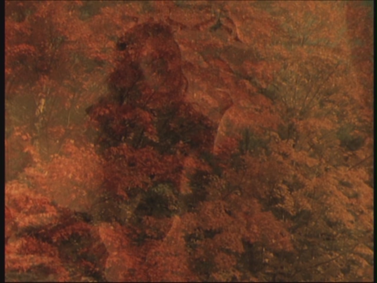 GG211-00068.jpg