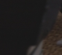 GG804-02526.jpg