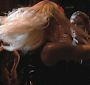 Glee215-0680.jpg
