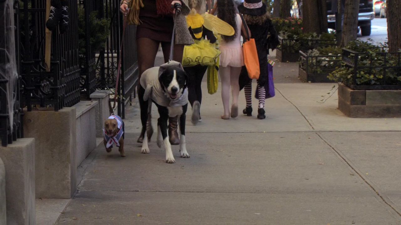 307GossipGirl0007.jpg