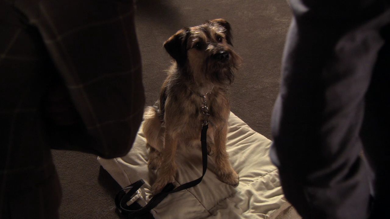 503GossipGirl0125.jpg