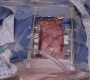GA1415-00688.jpg