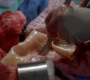 GA1420-00511.jpg