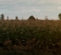 GA1422-00013.jpg