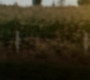 GA1422-00019.jpg
