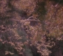 GA406-00036.jpg