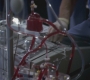 GA415-00750.jpg