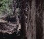 GA824-00580.jpg