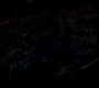 GA923-01218.jpg