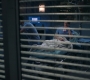 Greys_Anatomy_S19E10_1477.jpg