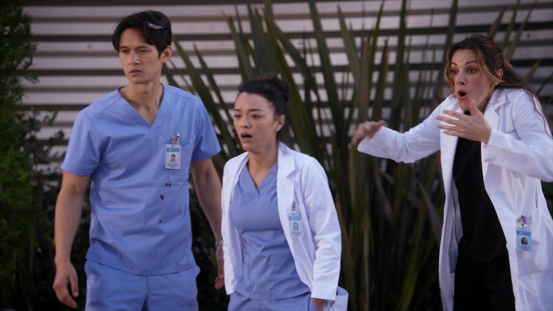 Greys_Anatomy_S19E11_2005.jpg