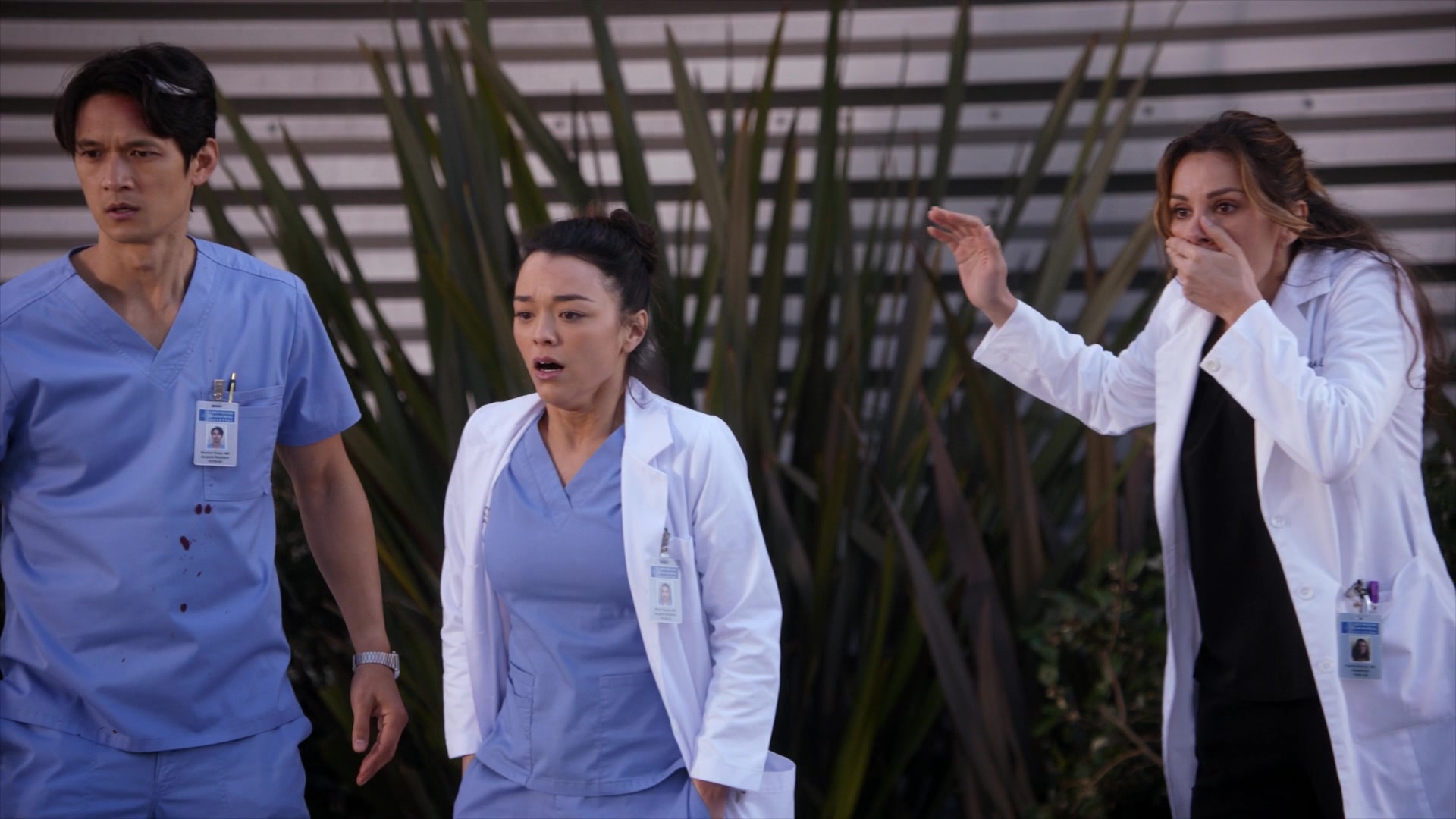 Greys_Anatomy_S19E11_2006.jpg