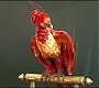 HOTN_1379.jpg