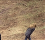 HOTN_4041.jpg