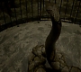 HOTN_1098.jpg