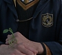 HOTN_2218.jpg
