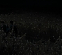 HPDH1-0865.jpg
