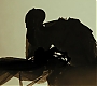 HPDH1-3889.jpg