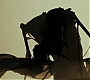 HPDH1-3890.jpg