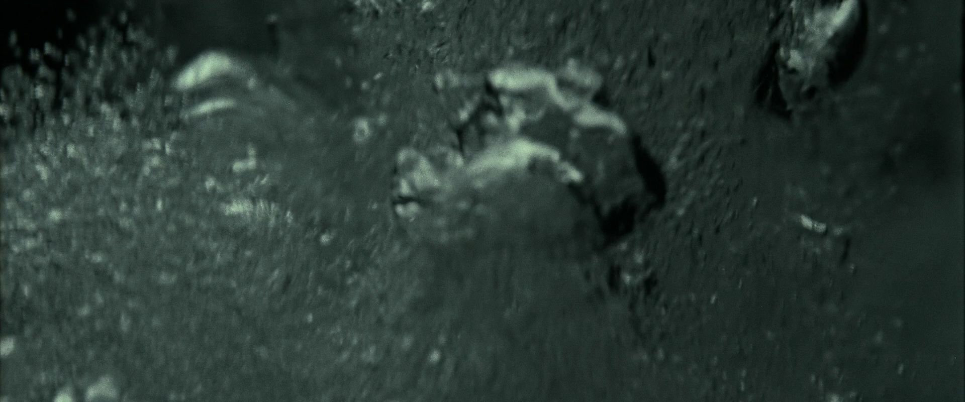 HPDH2-0665.jpg