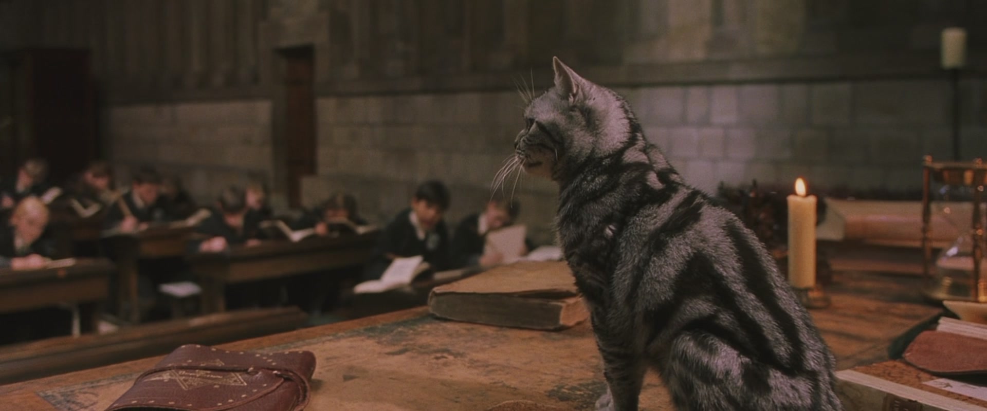 Профессор Макгонагалл из Гарри Поттера кошка