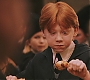 HP1-1369.jpg