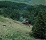 HPPoA0821.jpg