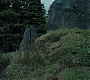 HPPoA2546.jpg