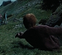 HPPoA2565.jpg