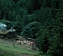 HPPoA3277.jpg