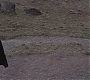 HP5-01242.jpg