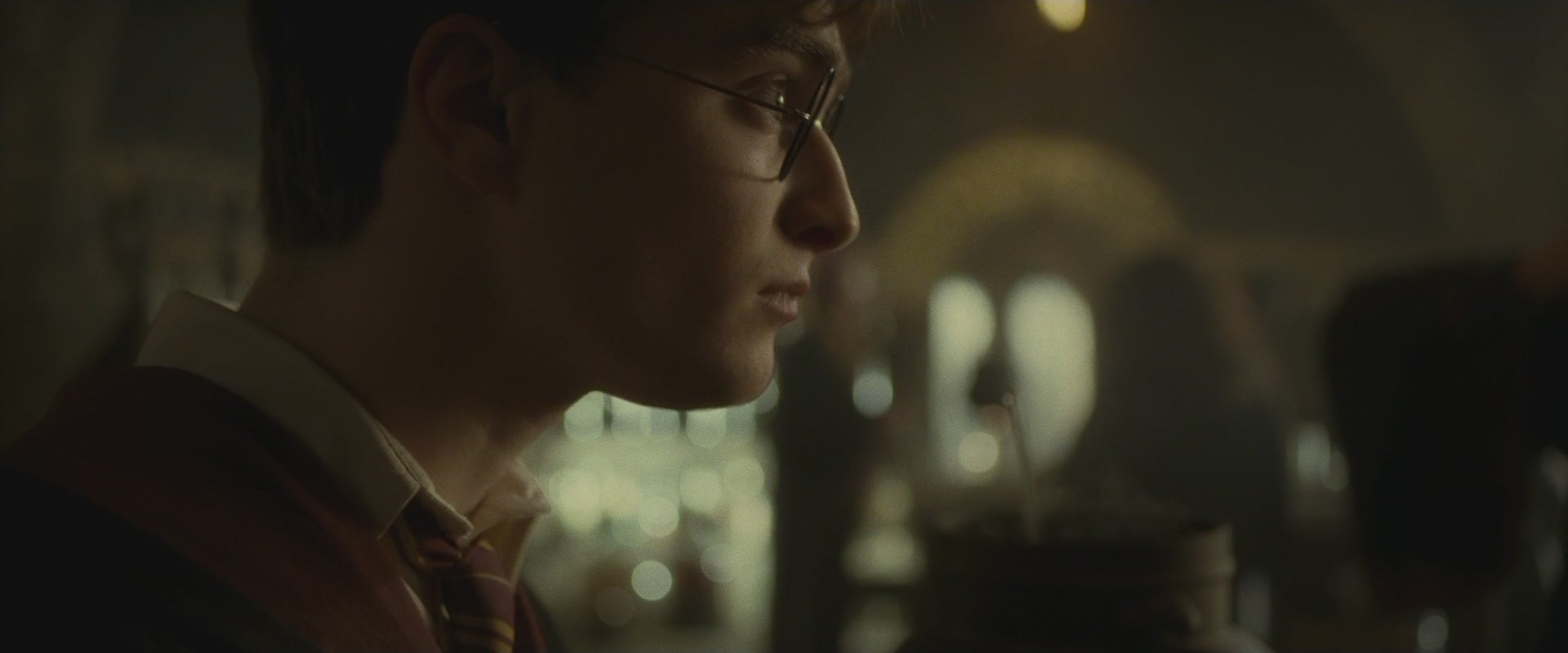 Halfblood-01053.jpg