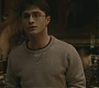 Halfblood-01415.jpg