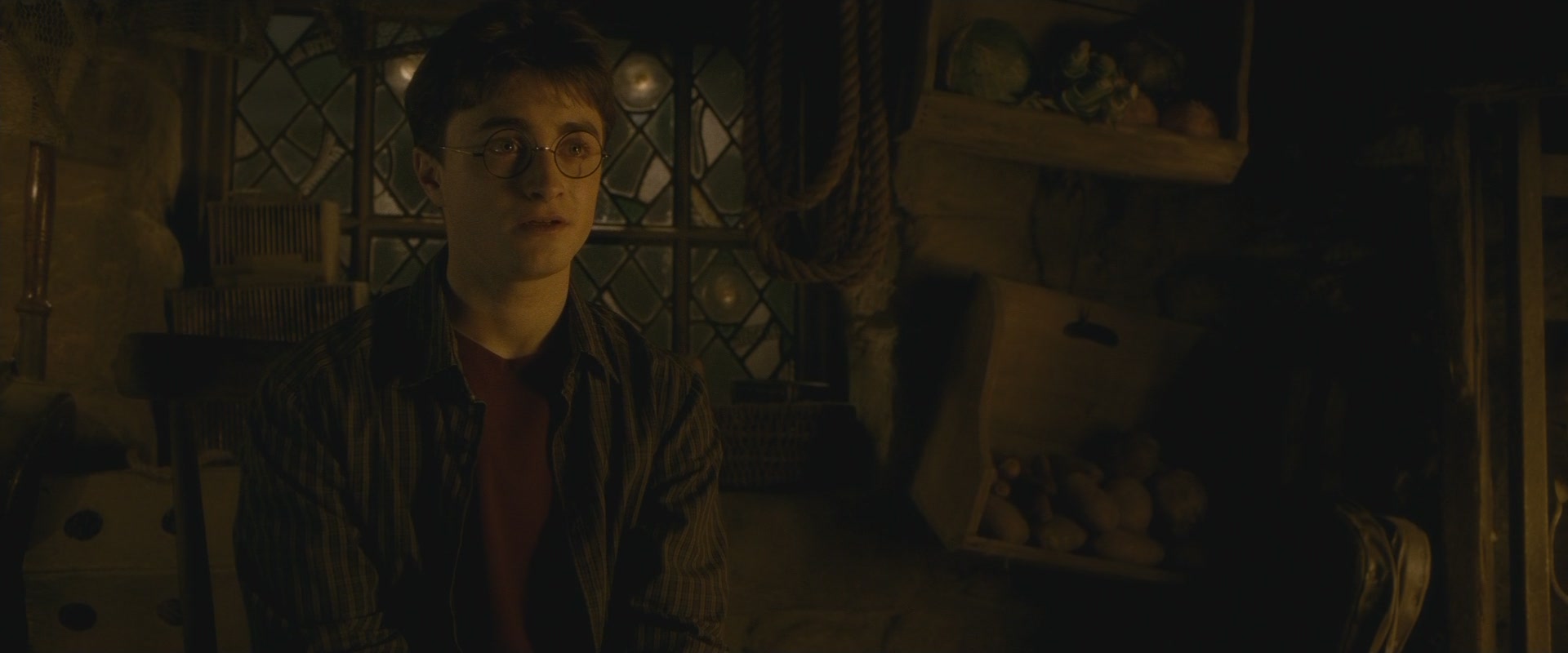 Halfblood-03265.jpg