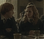 Halfblood-02824.jpg